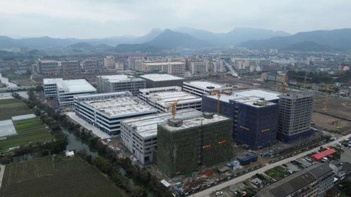 臺州這個鎮，把兩款水泵產量做到了全球第一